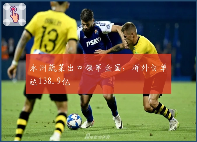 永州蔬菜出口领军全国，海外订单达138.9亿
